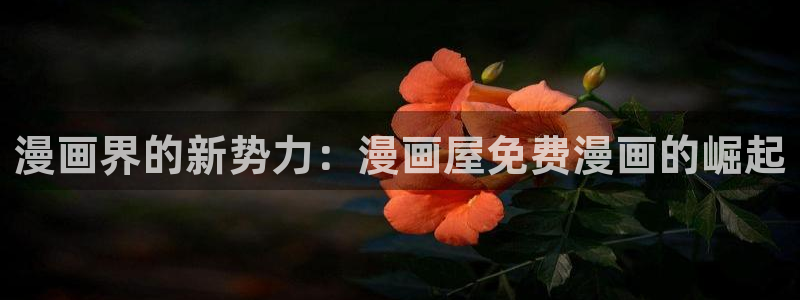 漫漫漫画漫画网站